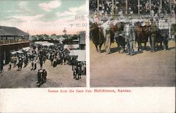 Scenes from the State Fair. Hutchinson, KS Postcard Postcard Postcard