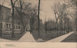 State Street Walk - University of Michigan Postcard