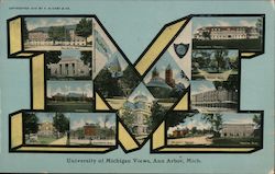 University of Michigan Views Postcard