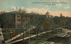 State Street And University Of Michigan Buildings Postcard