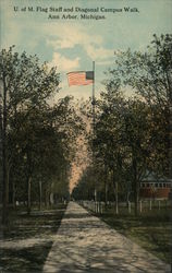 U of M Flag Staff and Diagonal Campus Walk Postcard