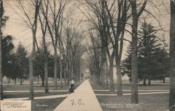 Diagonal Walk looking NW - University of Michigan Postcard