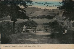Prospect Point, New Boulevard Postcard