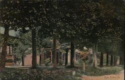 Ann Arbor Street Postcard