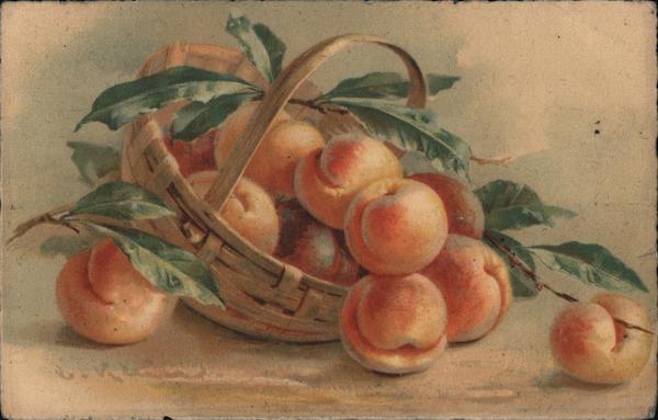 Basket of Peaches C. Klein
