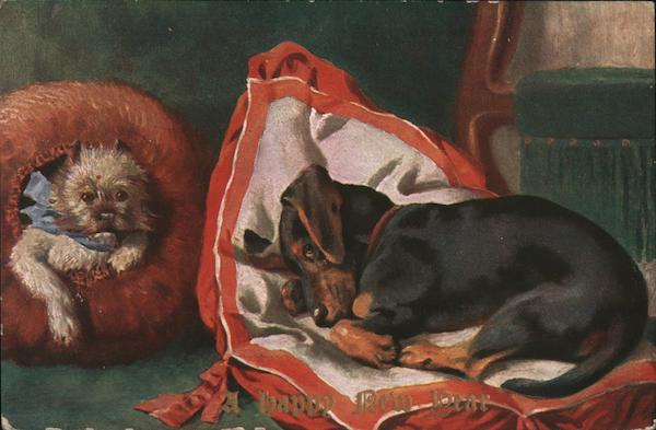 A Happy New Year New Year's