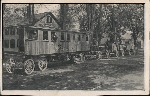 The Linn Dog Show Dogs