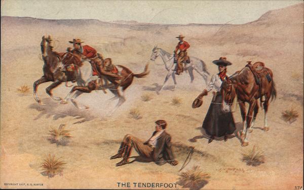 The tenderfoot - Puzzle Card