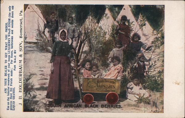 South African Black Berries Somerset Pennsylvania Advertising