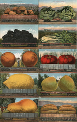Lot of 10: Giant Railroad Car Vegetable Exaggerations Postcard