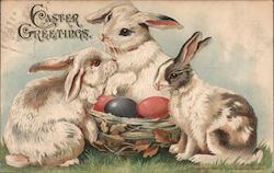 Easter Greetings Postcard