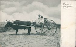 An Old Virginia Scene Postcard
