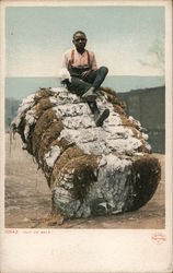 Out on Bail - boy sitting on large hay bail Black Americana Postcard Postcard Postcard