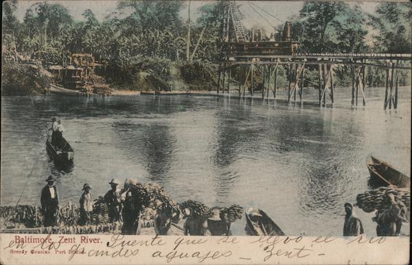 Baltimore Zent River Costa Rica Central America