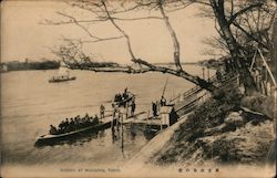 Cherry at Mukojima Postcard