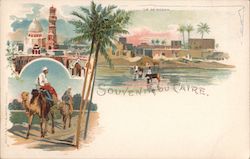 Souvenir du Caire Postcard