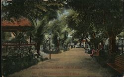 Park of Puntarenas Costa Rica Central America Postcard Postcard Postcard