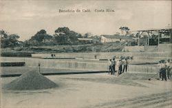 Coffee: Beneficio de Cafe Postcard