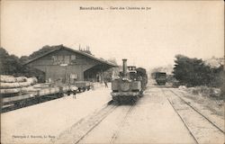 Railway Station Bonnétable, France Postcard Postcard Postcard