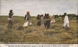 Harvest Scenes Around the World - Primitive Harvesting with Reaping Hook by Penny-a-day Laborers Postcard