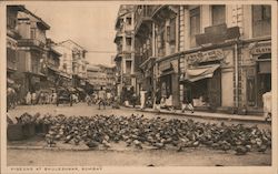 Pigeons at Bhuleshwar, Bombay Postcard