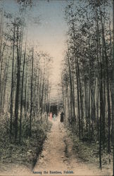 Among the Bamboo, Fukien Postcard