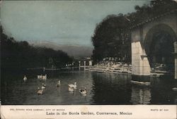 Lake in the Borda Garden Postcard
