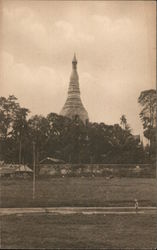 View of Shwe Dragon Pagoda from Voyle Road Postcard