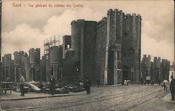 Vue generale du chateau des Comtes Postcard