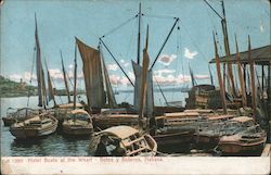 Hotel boats at the Wharf Postcard