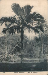 Botanical Garden Postcard