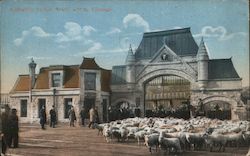 Union Stock Yards Postcard