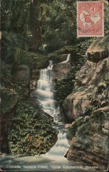 Cascade, Nelsons Creek, Upper Condamine, Queensland Australia Postcard Postcard Postcard