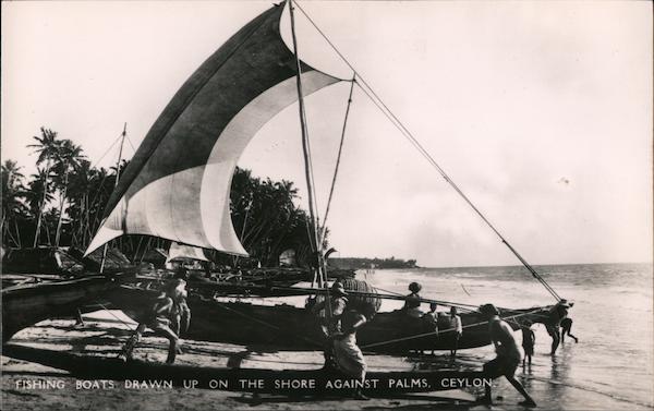 Fishing Boats Drawn Up On The Shore Against Palms Ceylon (Sri Lanka)