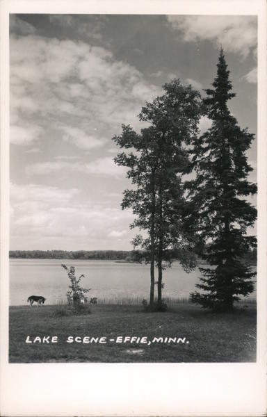 Lake Scene Effie Minnesota