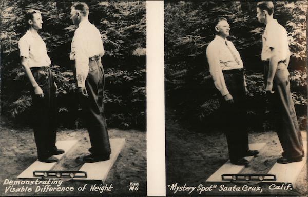 Michael C Halls Height The Mystery Solved Whats His Actual Stature - i14uzpq