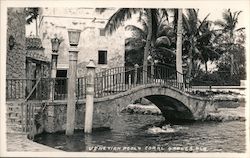 Venetian Pools Postcard