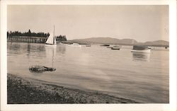 A photo taken from shore of a sail boat and a few other small boats anchored in calm water Postcard