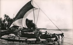 Fishing Boats Drawn Up On The Shore Against Palms Postcard