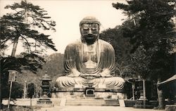 The Great Buddha of Kamakura at Kōtoku-in Temple Postcard