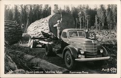 Truck Logging, Western Washington Postcard