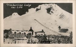 Timberline Lodge Ski - Lift Postcard