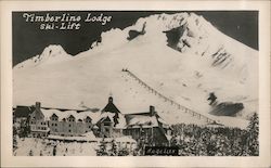 Timberline Lodge Ski - Lift Mount Hood, OR Mt. Hood Postcard Postcard Postcard