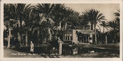 Port Tewfix, The Wells of Moses near Suez Postcard