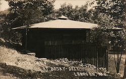 Lake Vista Cabin at Bosky Dell Postcard