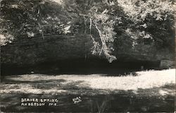 Beaver Spring Postcard