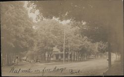 Rural Road Scene Postcard
