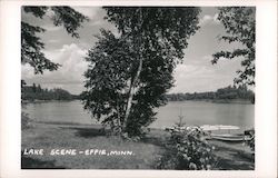 Lake Scene Effie, MN Postcard Postcard Postcard