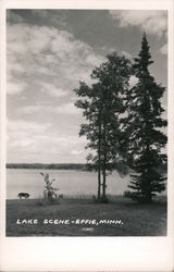 Lake Scene Effie, MN Postcard Postcard Postcard