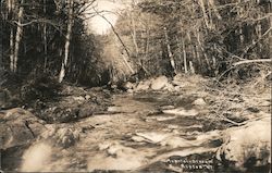 Mountain Stream, Ripton VT. Vermont Postcard Postcard Postcard